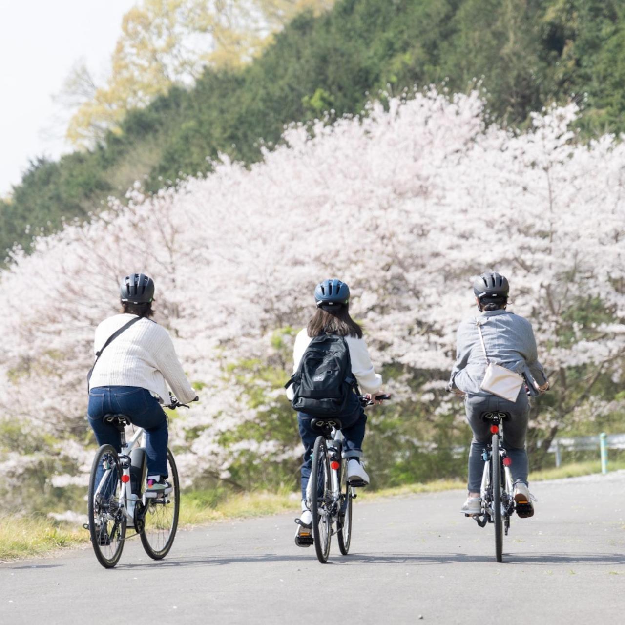 Kona Stay Bicycle Resort Izunokuni Exteriér fotografie
