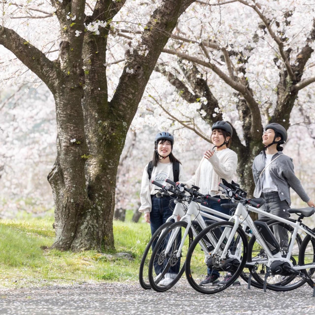 Kona Stay Bicycle Resort Izunokuni Exteriér fotografie