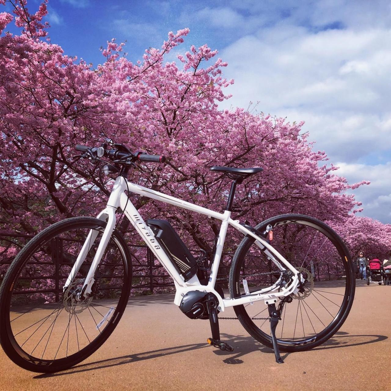 Kona Stay Bicycle Resort Izunokuni Exteriér fotografie