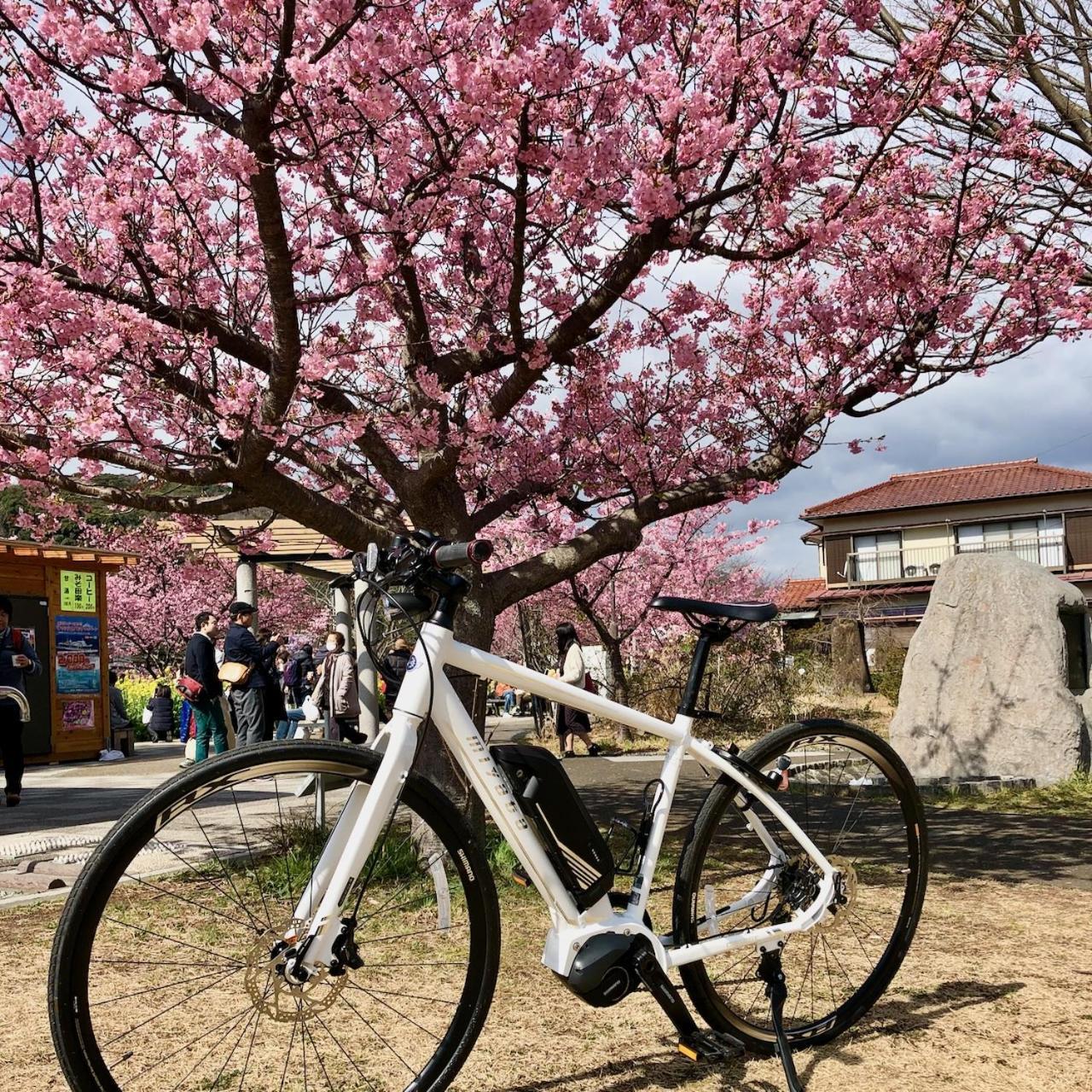 Kona Stay Bicycle Resort Izunokuni Exteriér fotografie